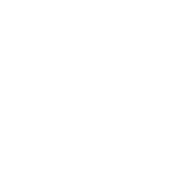 Cybersecurity Services Icon
