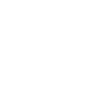 Robust Data Security