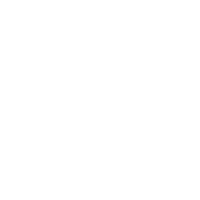 Security Icon