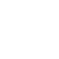 Comprehensive Cybersecurity Shield Icon
